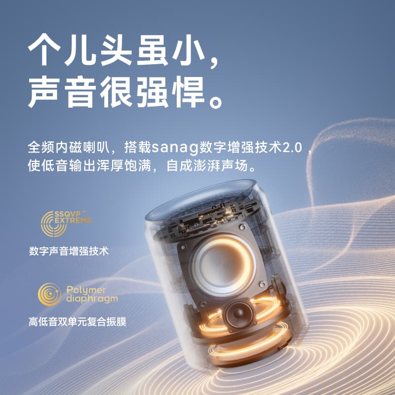 sanag X2Pro mini - изображение 6