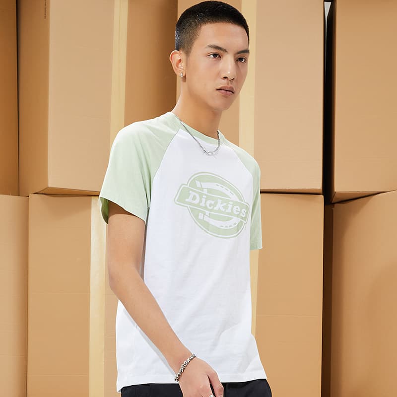 Футболка Dickies SS21 logoT - изображение 5