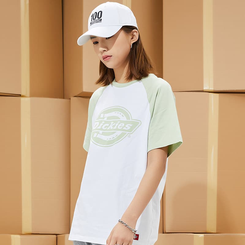 Футболка Dickies SS21 logoT - изображение 7
