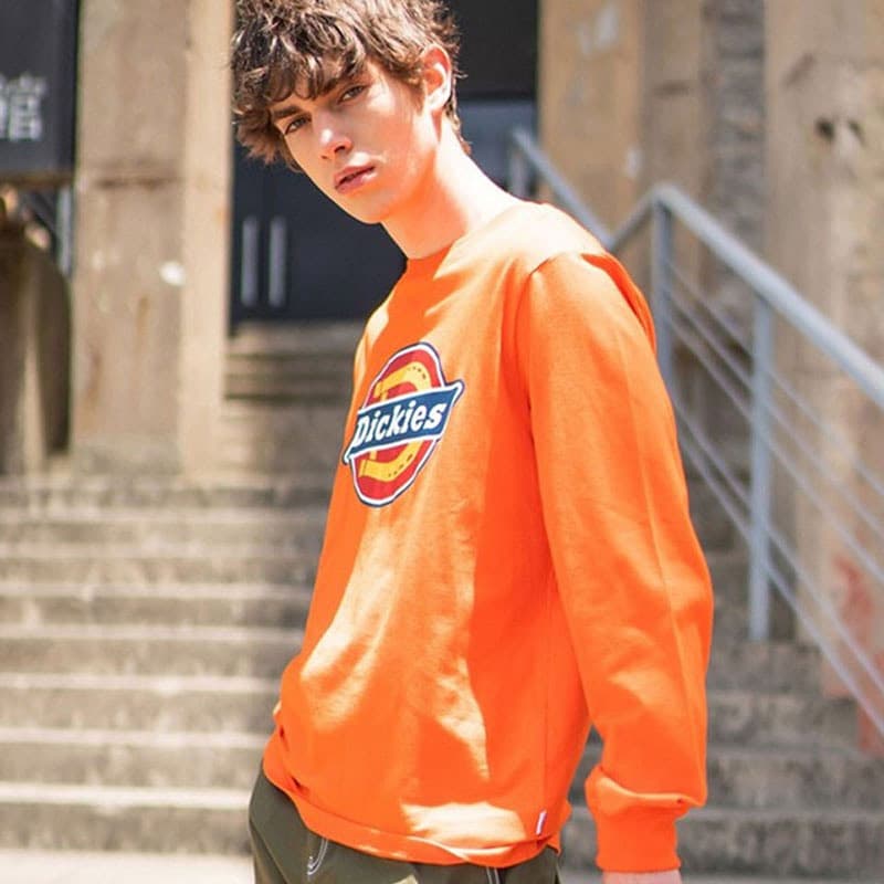 Худи Dickies FW22 logo - изображение 3