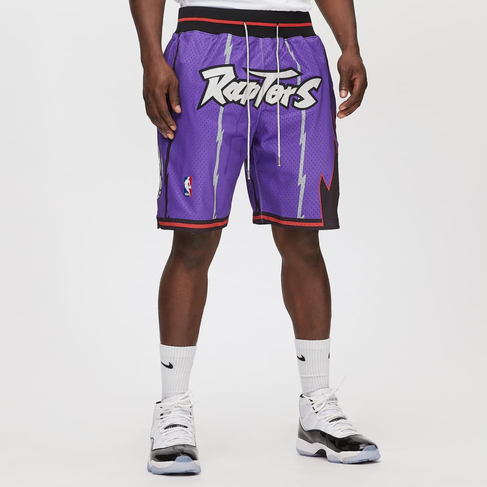 Баскетбольные шорты Mitchell&ness x Just Don Toronto Raptors Shorts - изображение 5