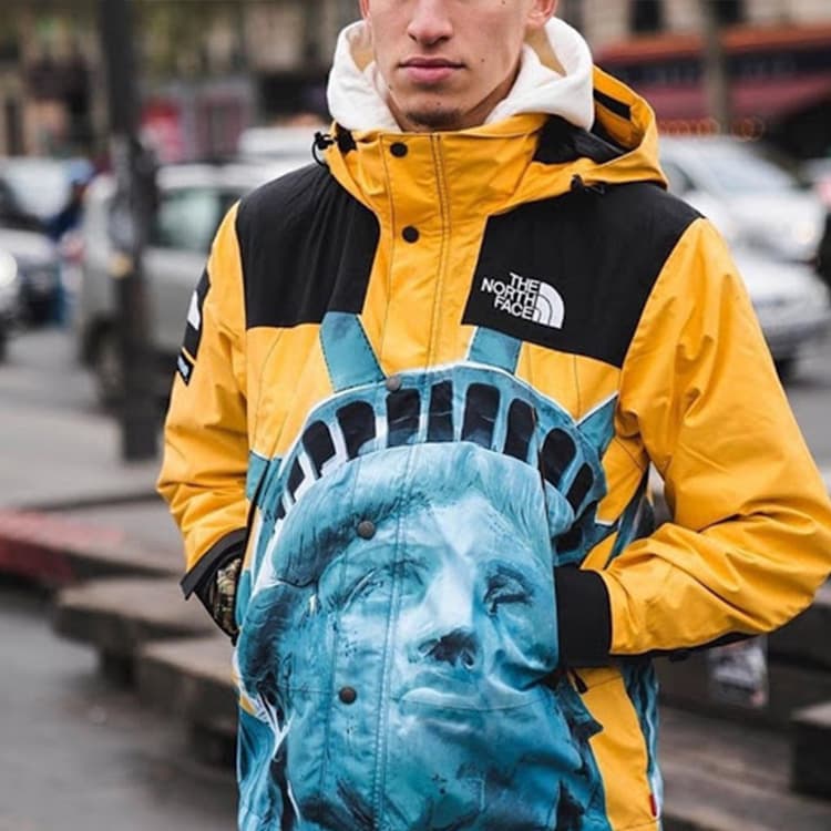 Демисезонная куртка Supreme x The North Face Statue of Liberty Jacket Yellow - изображение 4