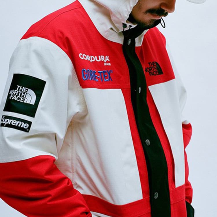 Демисезонная куртка Supreme x The North Face Expedition Jacket White - изображение 4