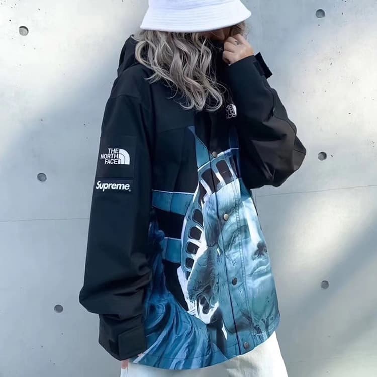Демисезонная куртка Supreme x The North Face Statue of Liberty Mountain Jacket Black - изображение 8