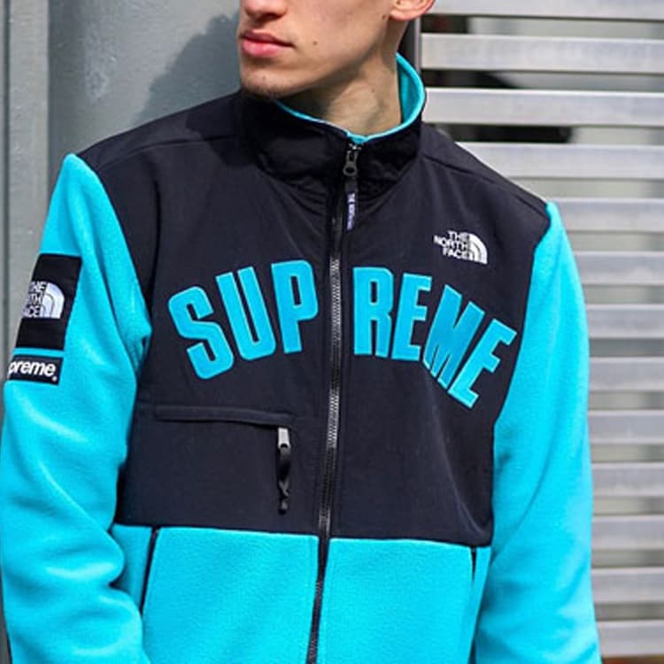 Куртка Supreme x THE NORTH FACE SS19 - изображение 3