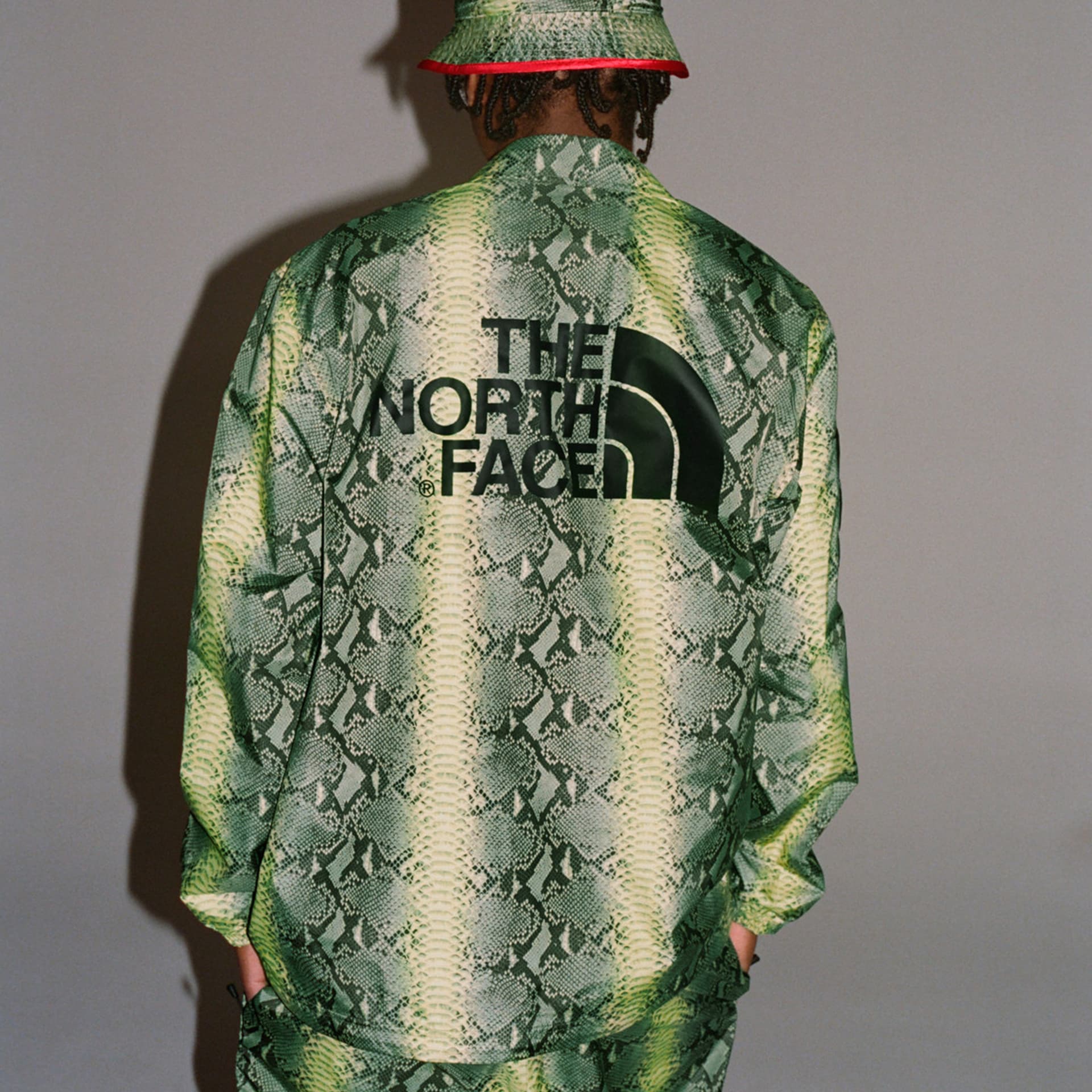Куртка Supreme x The North Face Snake Print Jacket Green - изображение 4