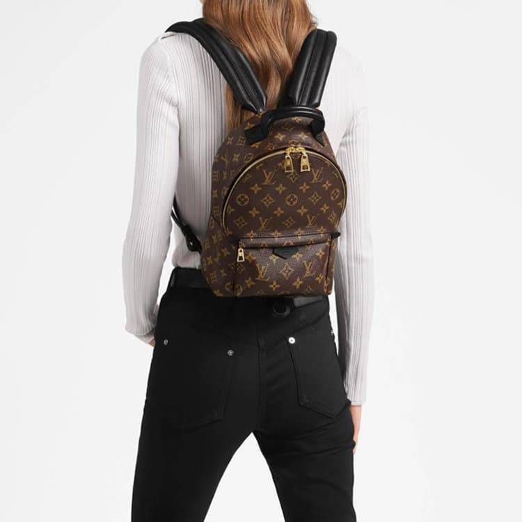 Рюкзак Louis Vuitton Palm Springs Backpack Small Brown - изображение 10