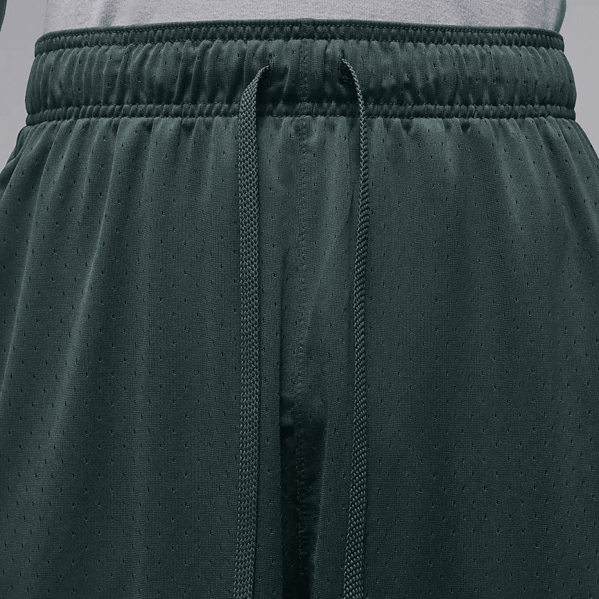 Тренировочные штаны Jordan Sport Dri-FIT Shorts - изображение 6