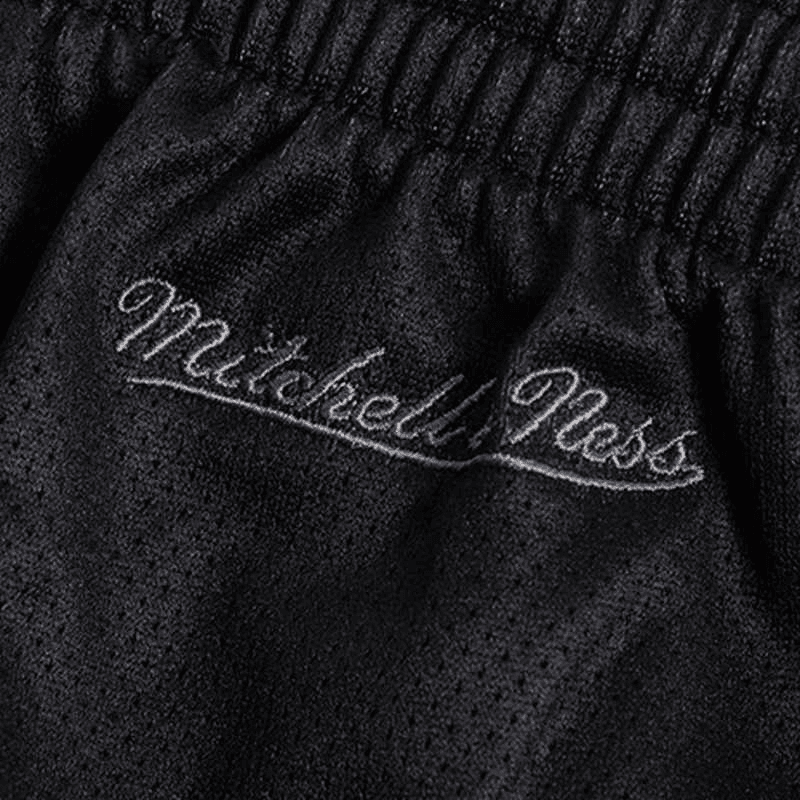 Баскетбольные шорты Mitchell Ness SS22 BigFace 4.0 Logo - изображение 3