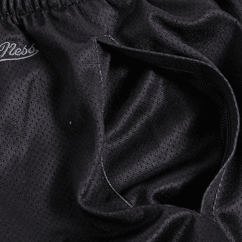 Баскетбольные шорты Mitchell Ness SS22 BigFace 4.0 Logo - изображение 4
