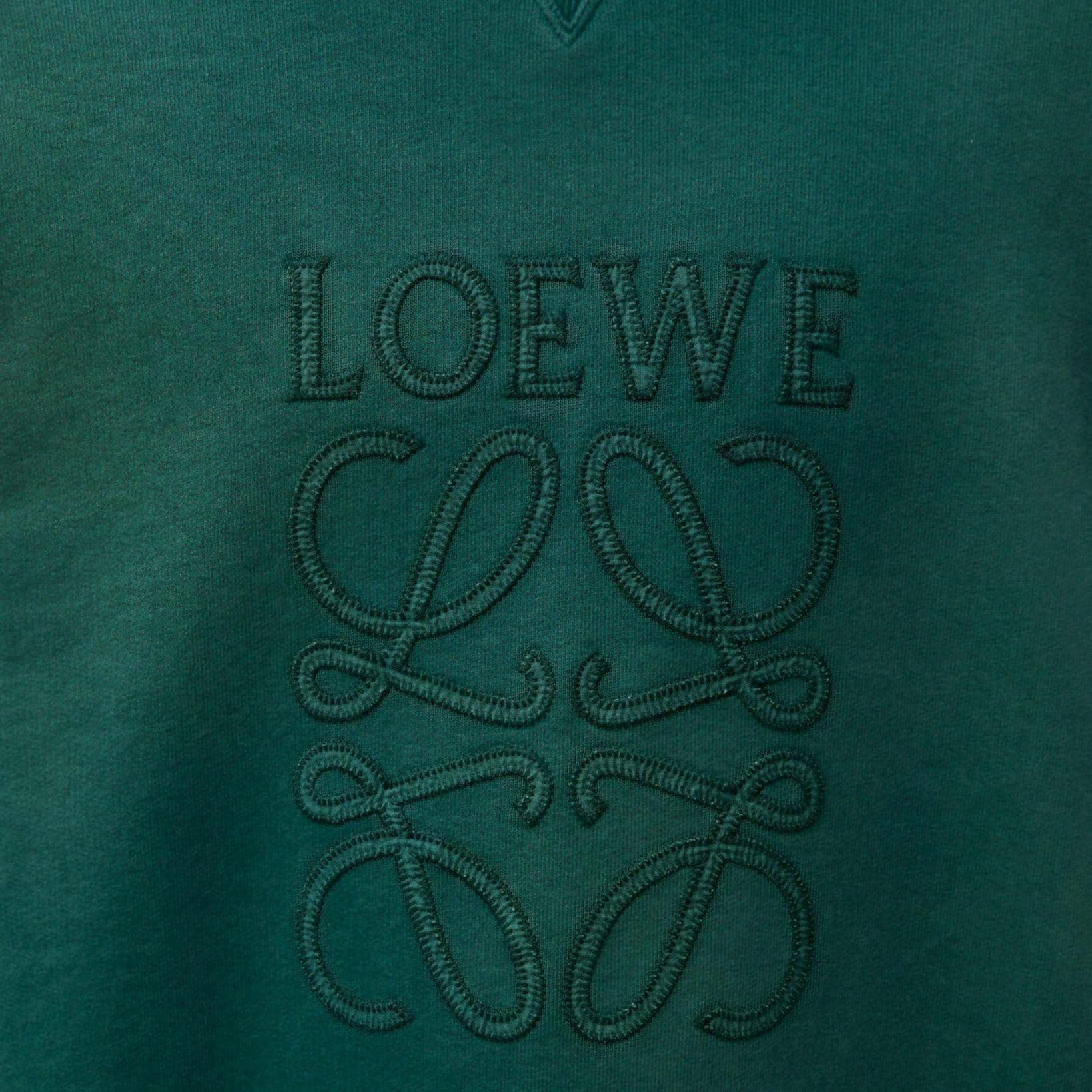 Худи LOEWE SS25 - изображение 5