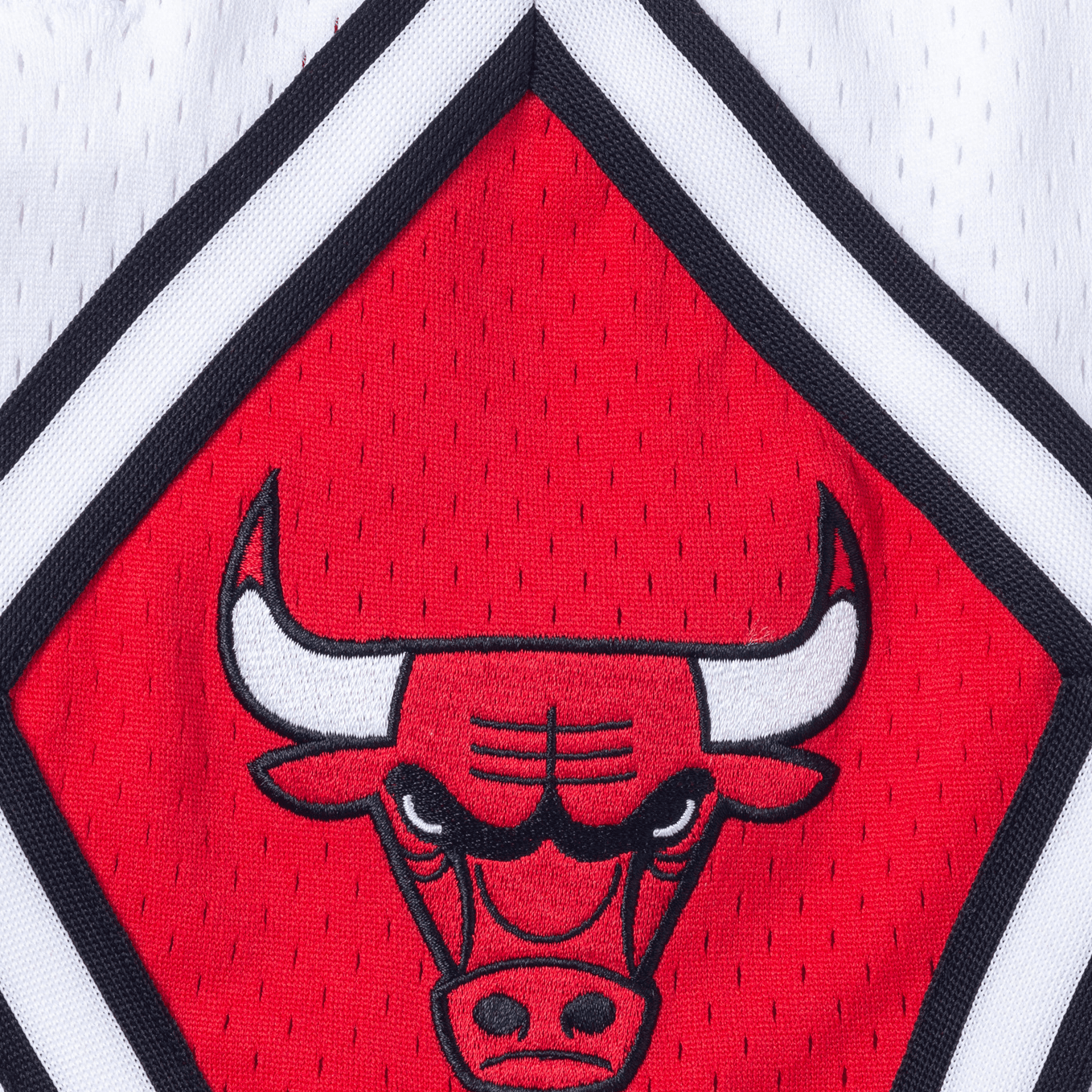 Баскетбольные шорты Mitchell Ness x Just Don NBA 96-97 - изображение 4