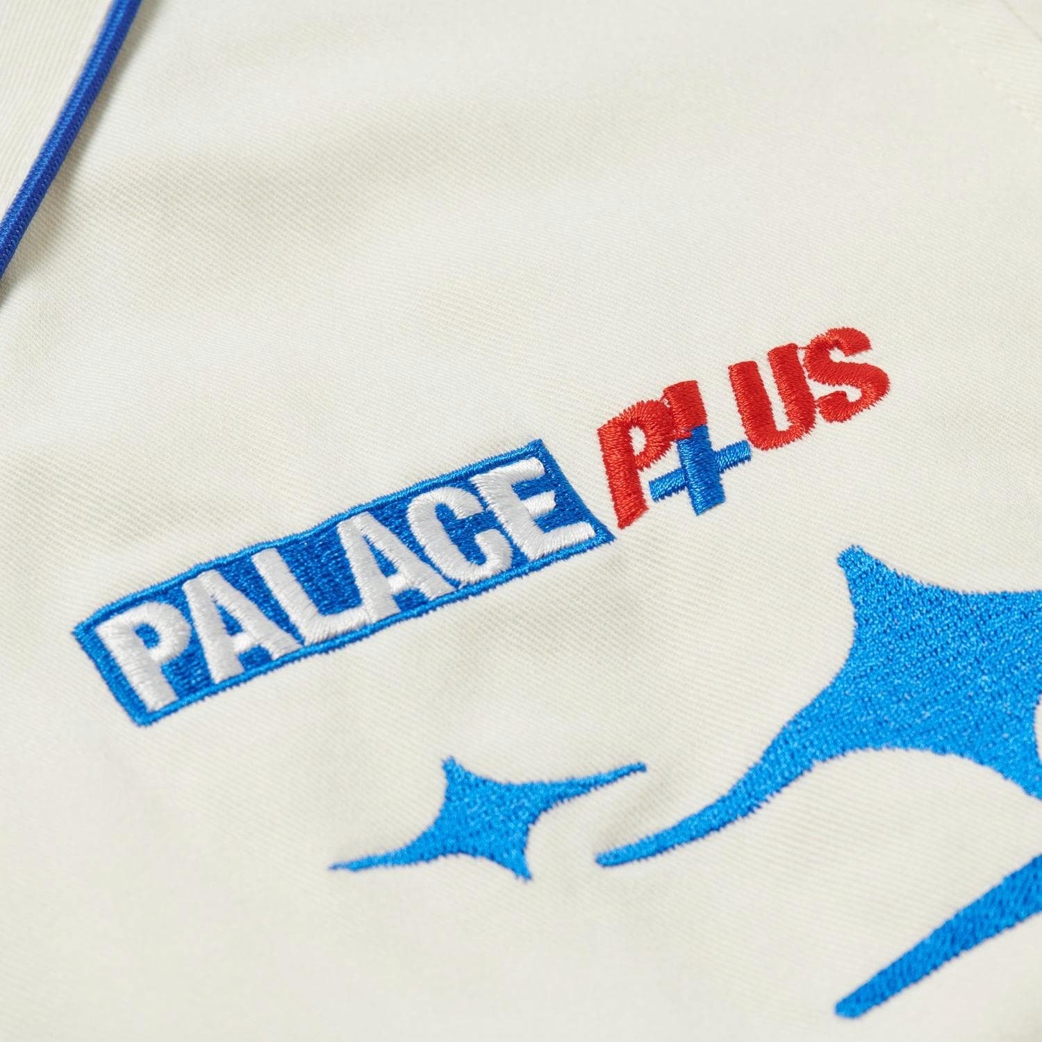 Куртка PALACE FW24 PALLY RALLY JACKET - изображение 4