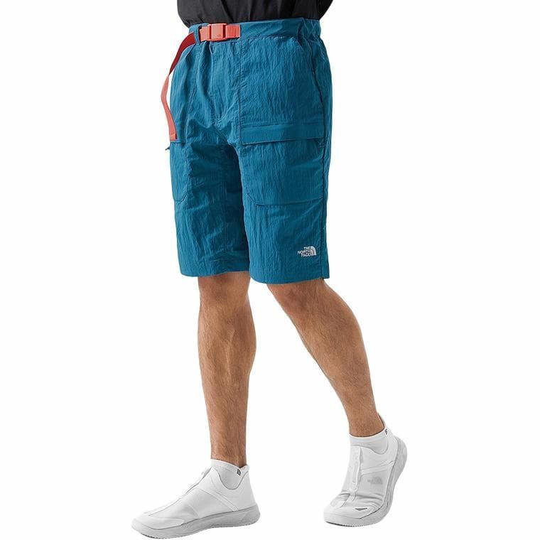 Шорты THE NORTH FACE Logo - изображение 7