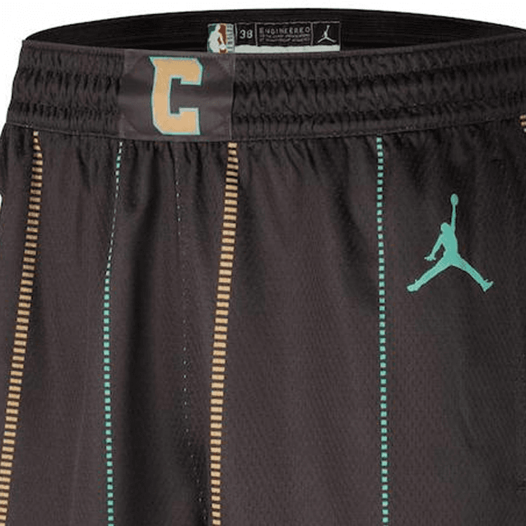 Баскетбольные шорты Jordan NBA Hornets Fan Shorts Brown - изображение 3