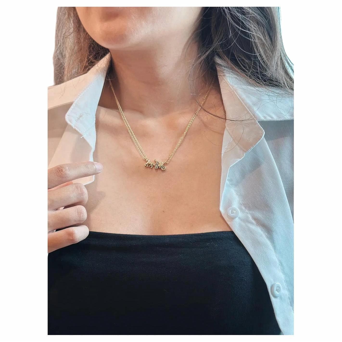 Ожерелье COACH Necklace - изображение 4