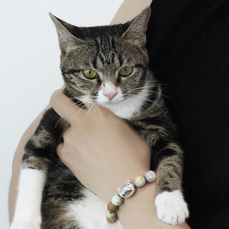 PEACE CAT - изображение 2