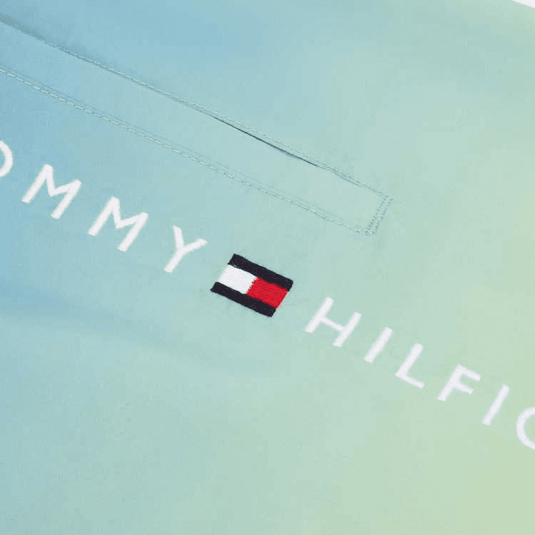 Шорты Tommy Hilfiger Gradient Shorts - изображение 3