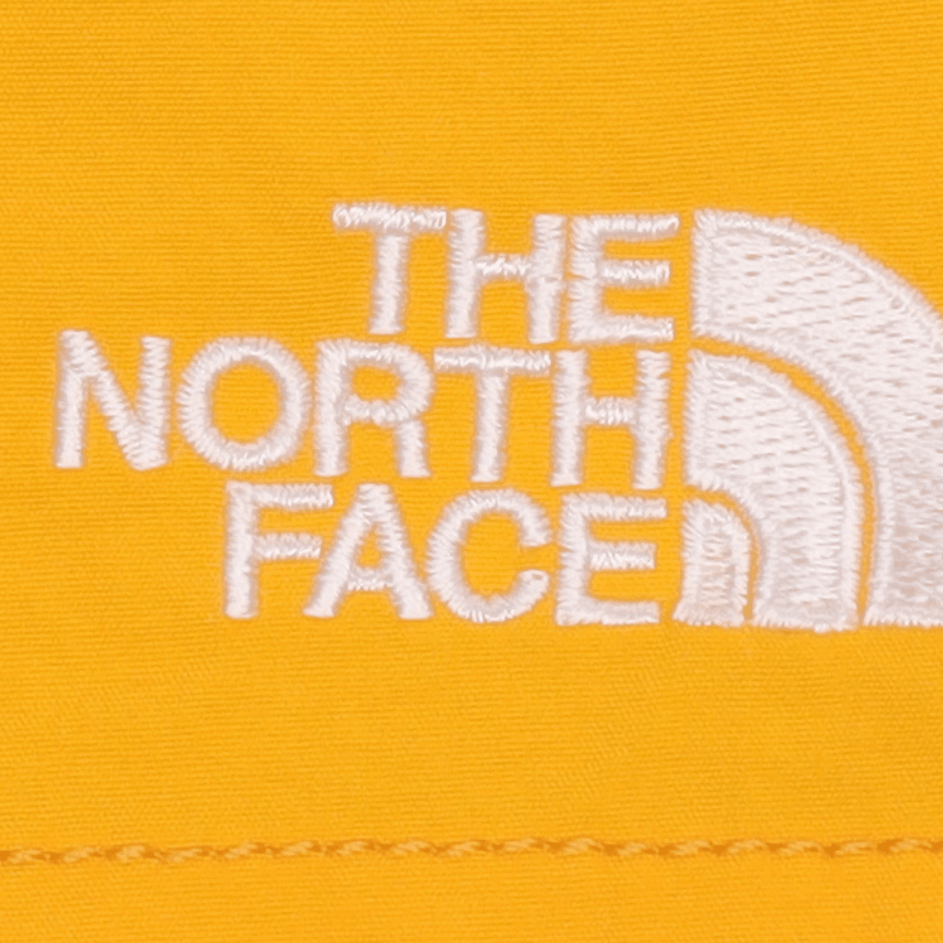 Шорты THE NORTH FACE Logo - изображение 4