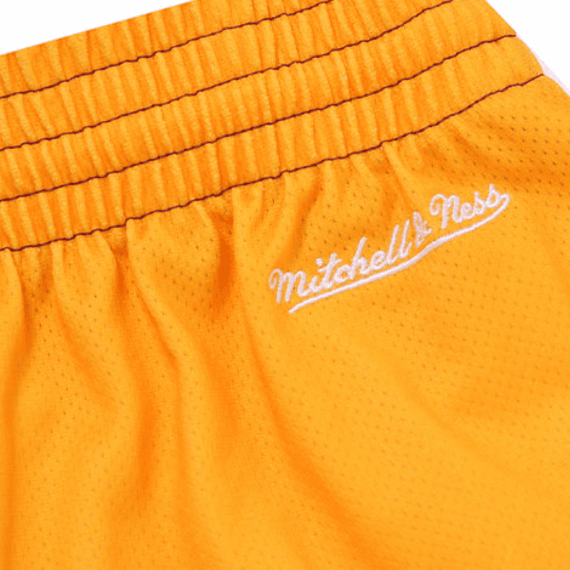Баскетбольные шорты Mitchell Ness SW - изображение 3