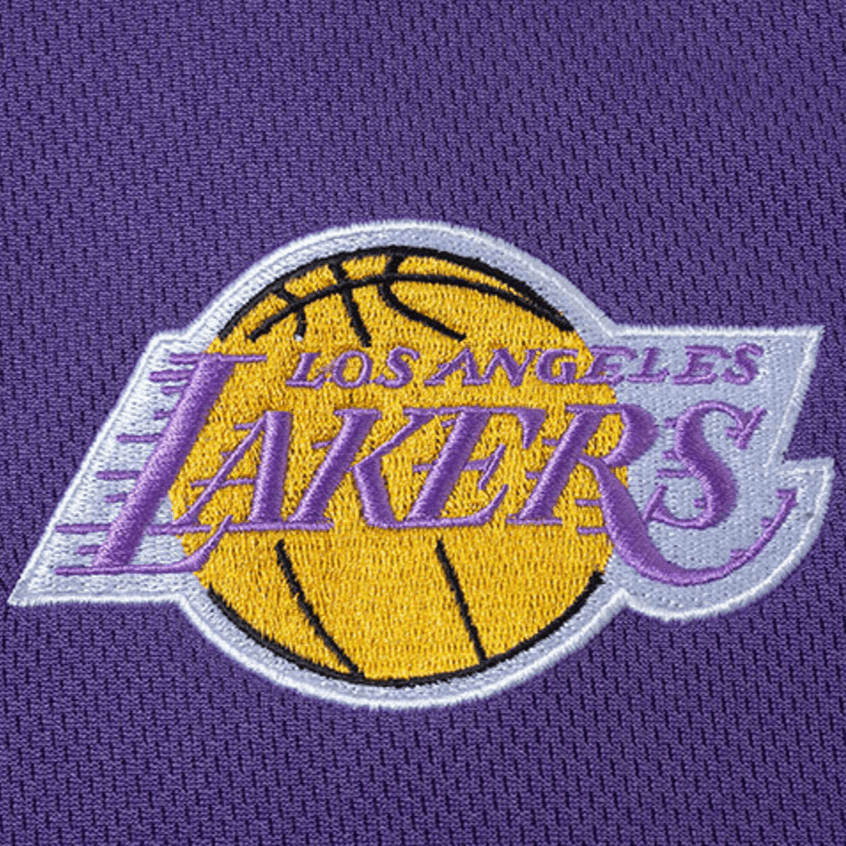 Баскетбольная майка Mitchell Ness LogoV - изображение 3