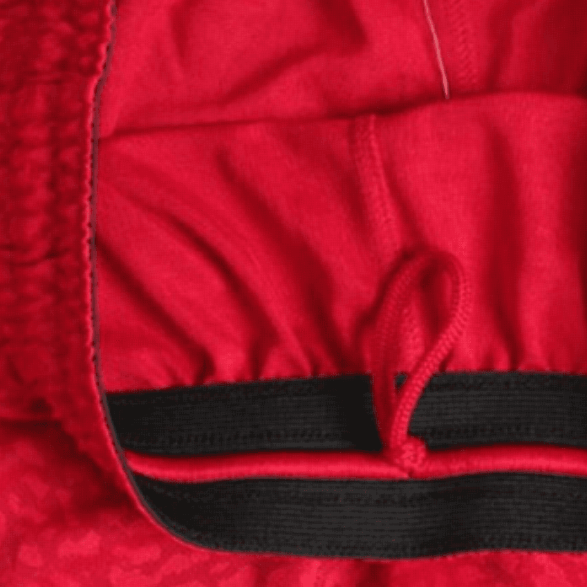 Тренировочные штаны Jordan Basketball Shorts Red - изображение 4