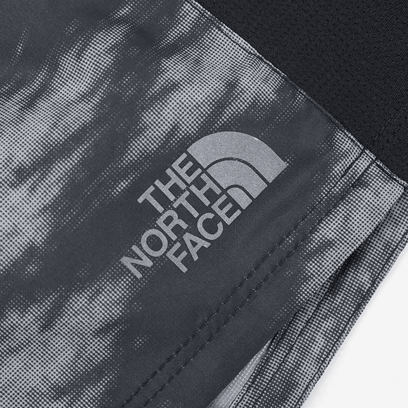 Шорты THE NORTH FACE Logo - изображение 4