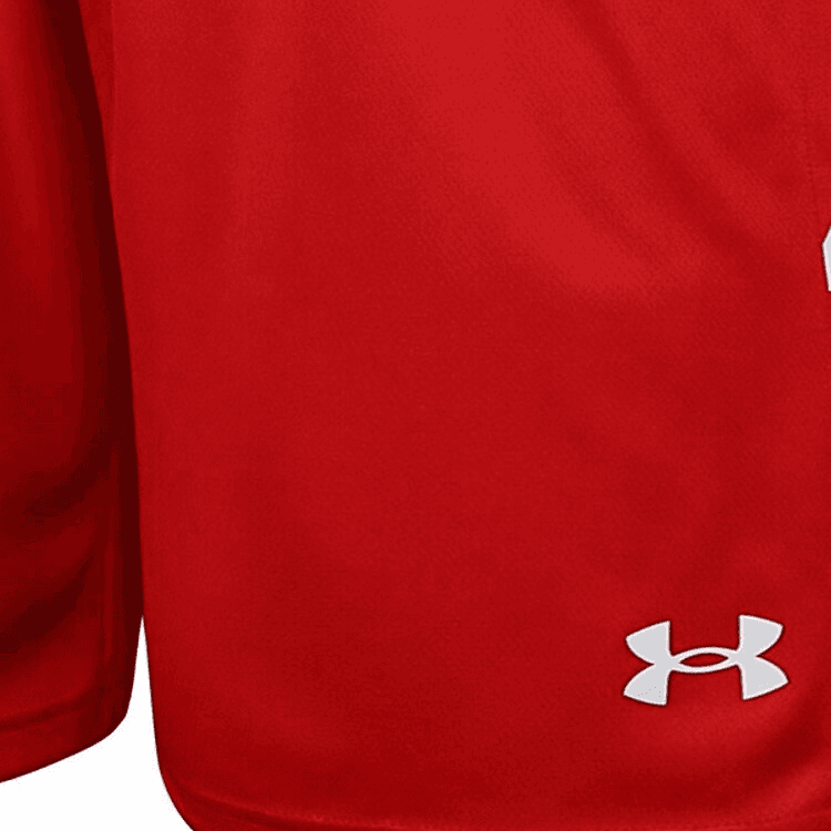 Баскетбольные шорты Under Armour - изображение 3