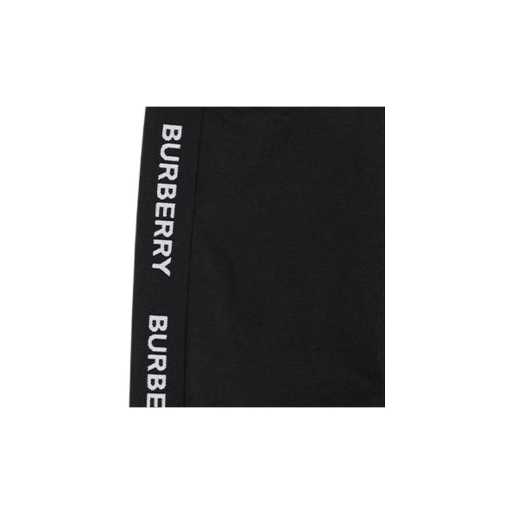 Burberry SS21 - изображение 5