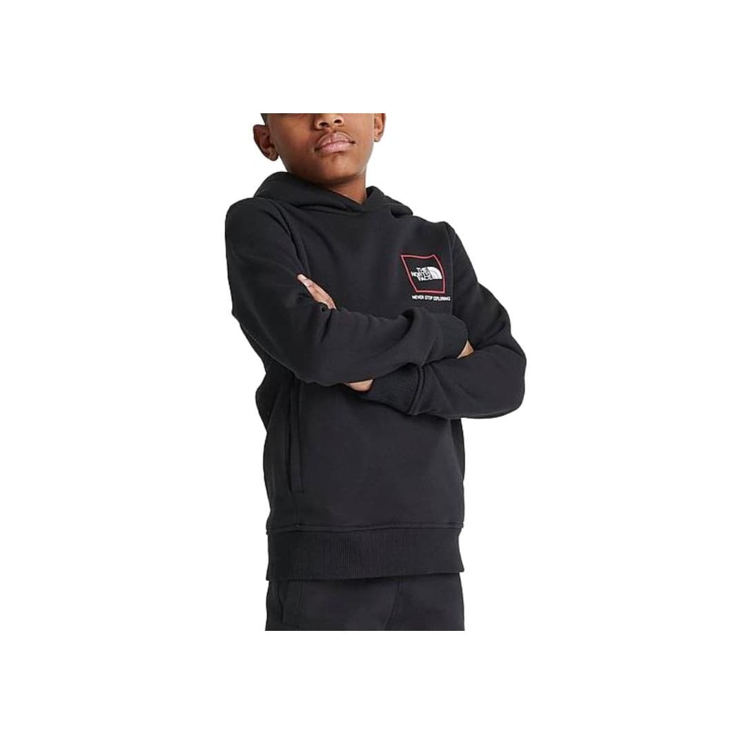 THE NORTH FACE Logo - изображение 4