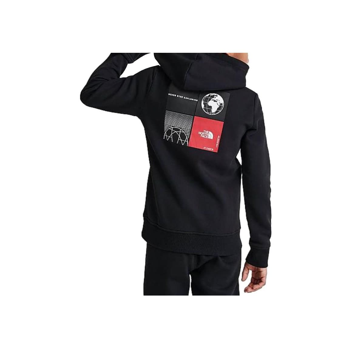 THE NORTH FACE Logo - изображение 2