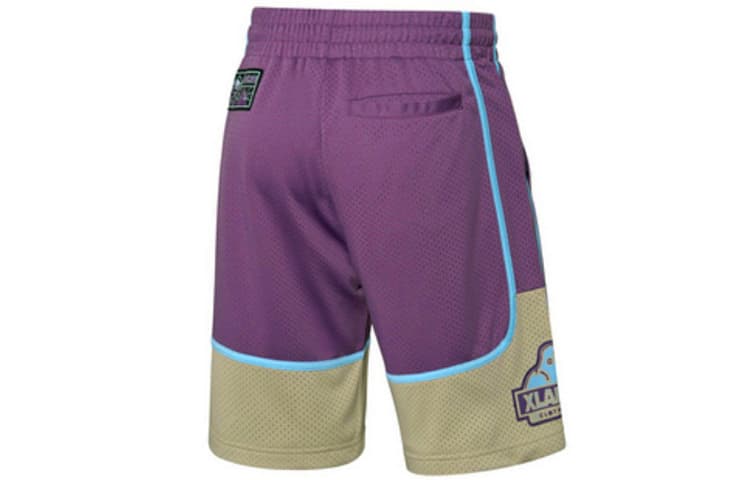Баскетбольные шорты x XLARGE BADFIVE - изображение 2