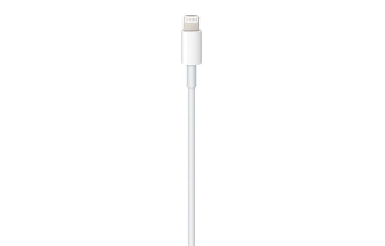 Apple USB-C Lightning (1 ) - изображение 2