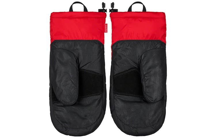 Supreme FW20 Week 10 Supreme x The North Face - изображение 2