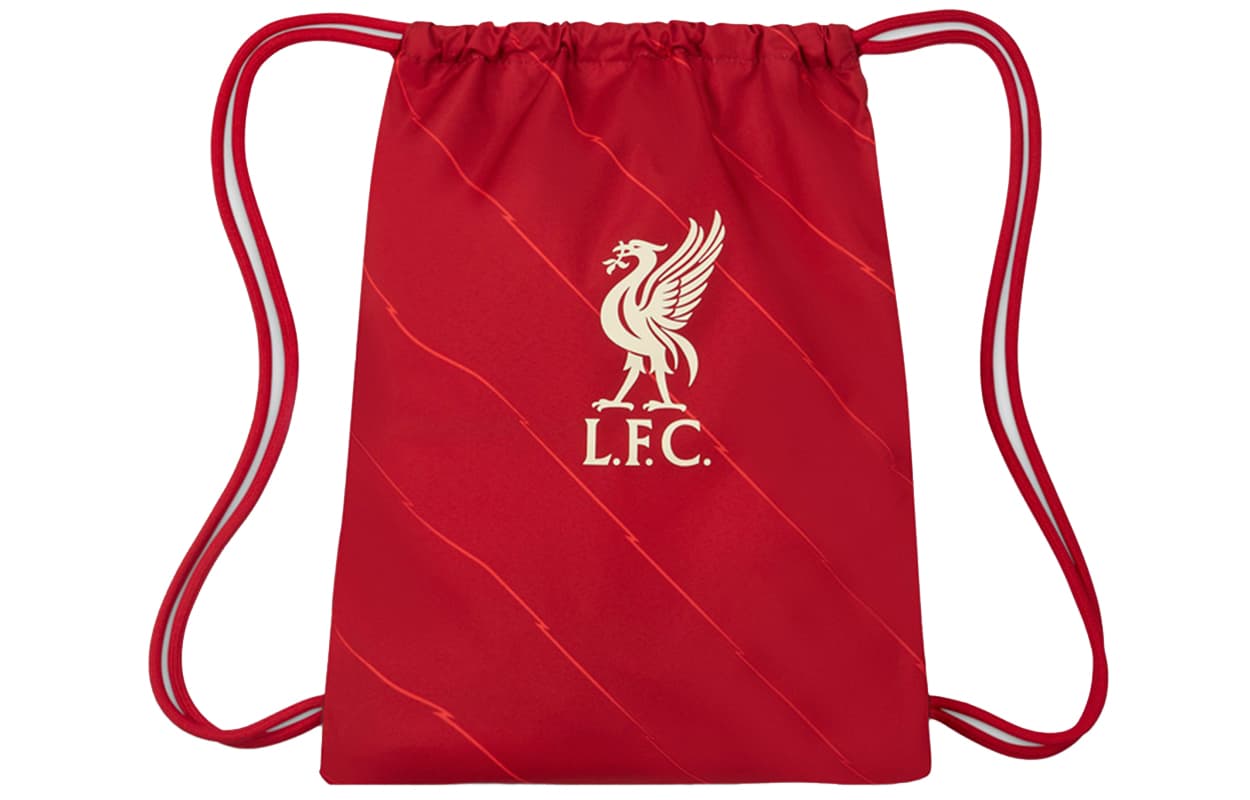 Рюкзак Nike LFC - изображение 1