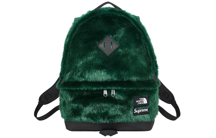 Рюкзак Supreme x The North Face FW20 Backpack - изображение 1