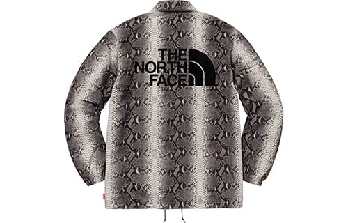 Куртка Supreme x The North Face SS18 Snake Print Jacket - изображение 2