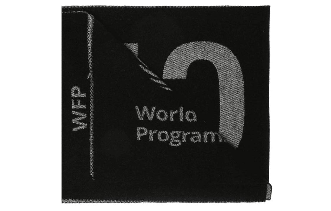 Шарф Balenciaga Logo Wool Scarf - изображение 2