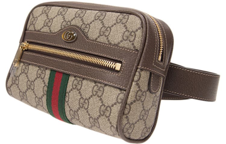 Поясная сумка Gucci Ophidia - изображение 3