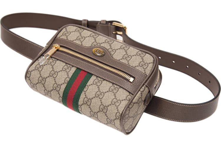 Поясная сумка Gucci Ophidia - изображение 4