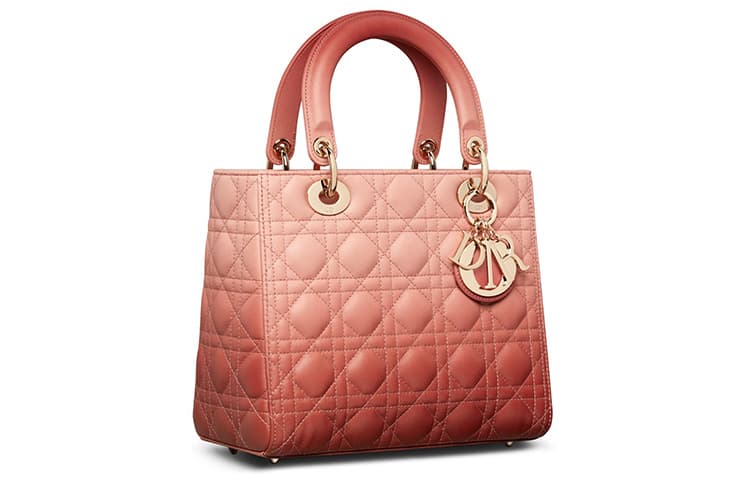 Сумка DIOR logo - изображение 2