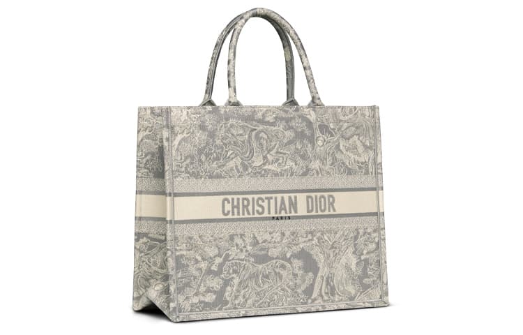 Сумка DIOR BookTote Tote - изображение 2