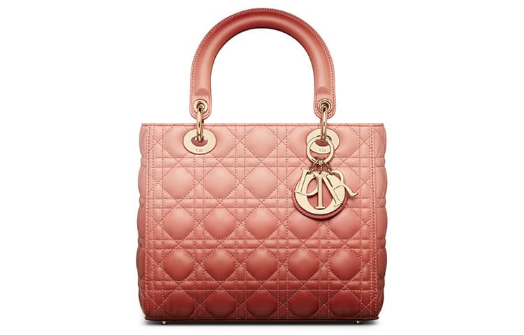 Сумка DIOR logo - изображение 1