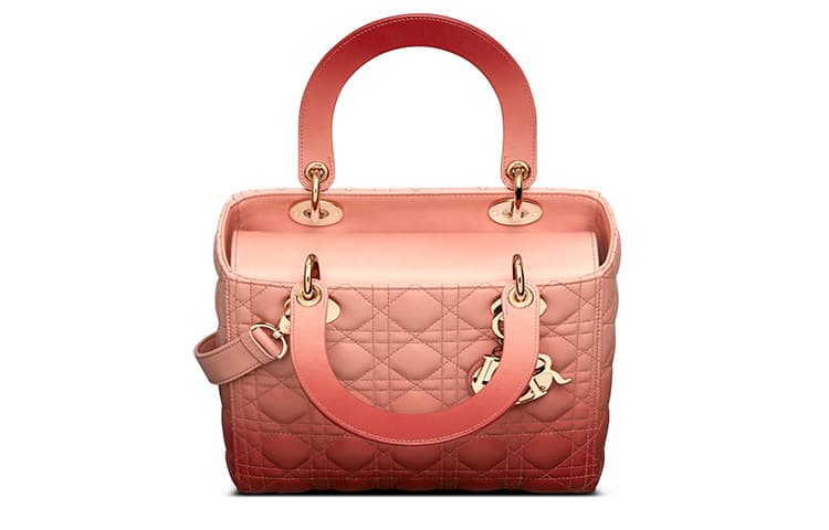 Сумка DIOR logo - изображение 3