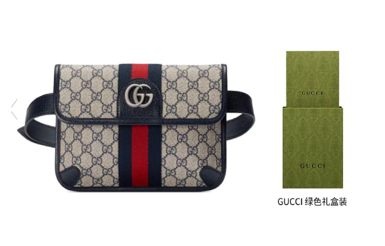 Поясная сумка Gucci Ophidia Bag - изображение 8
