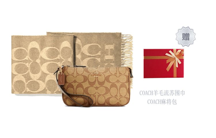 Сумка COACH Nolita 19 - изображение 3