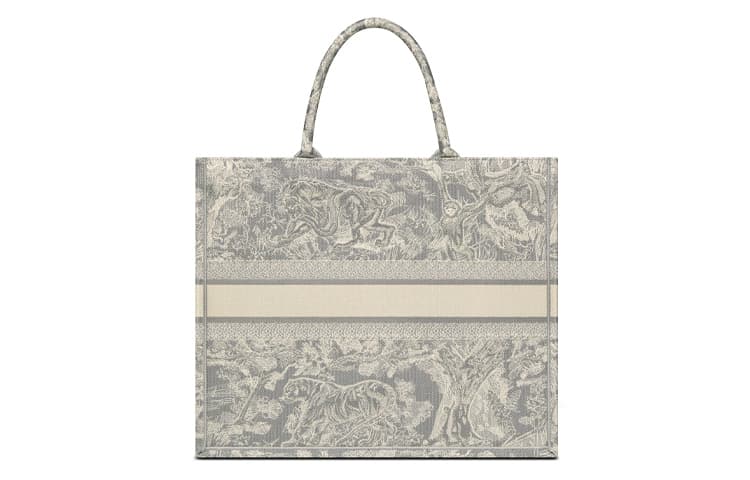 Сумка DIOR BookTote Tote - изображение 4