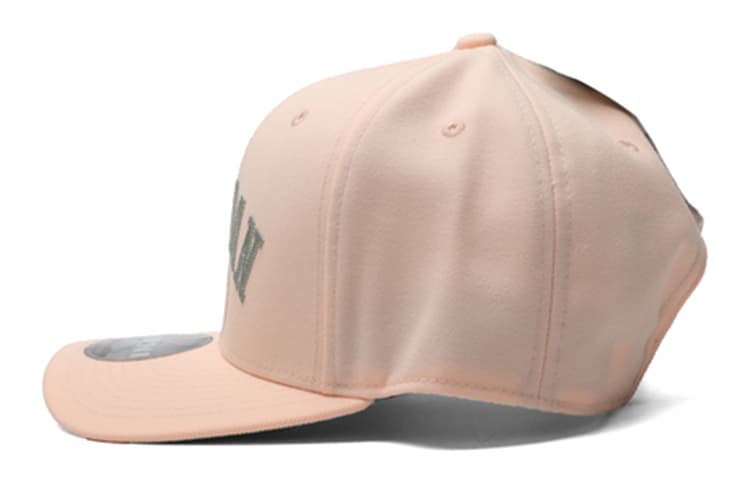 Кепка Jordan Baseball Cap Pink - изображение 2
