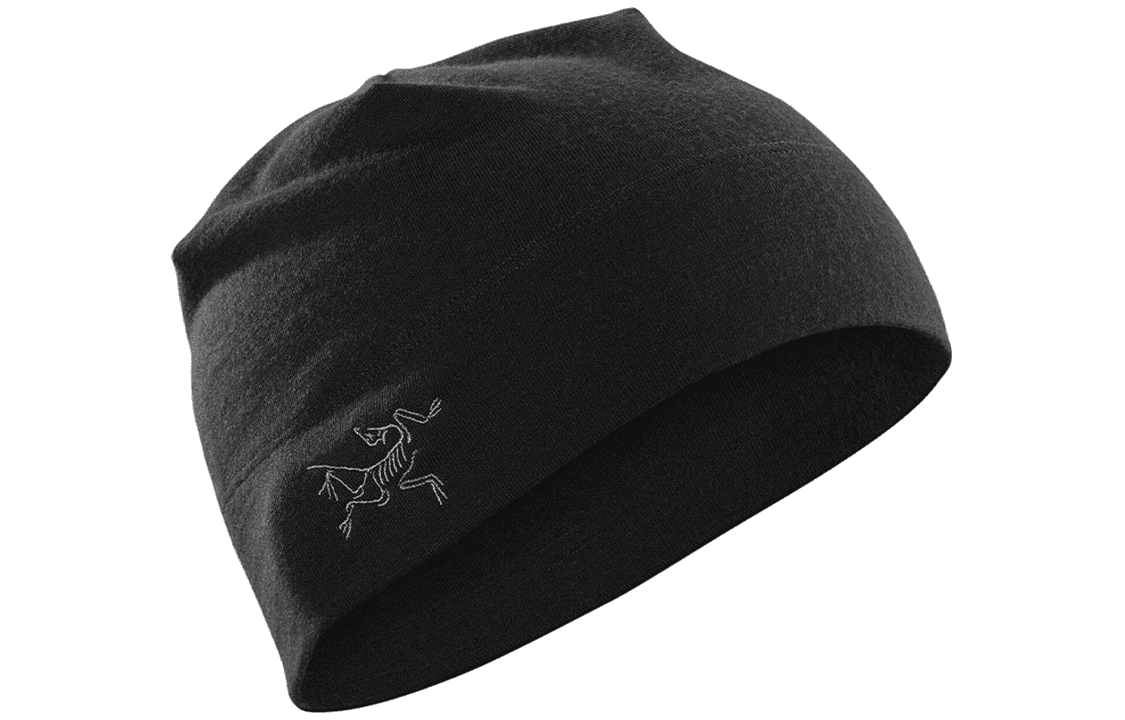Шапка Arcteryx - изображение 1