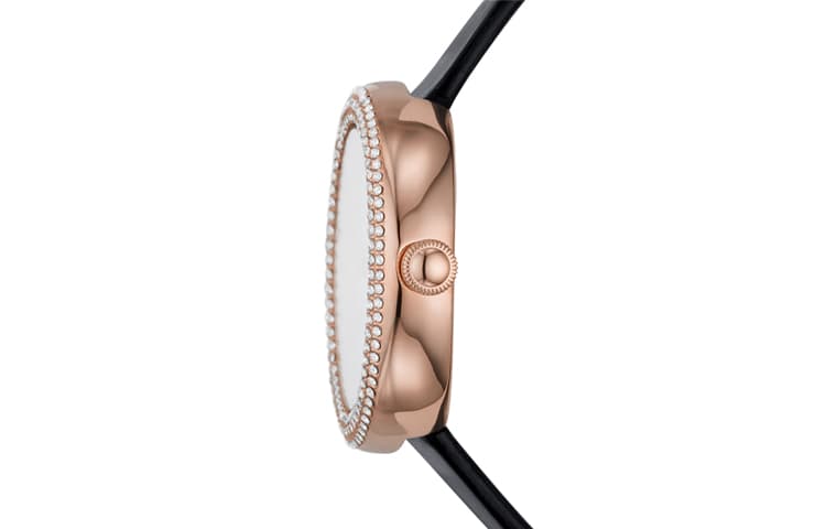 Механические часы EMPORIO ARMANI ROSA 30mm 30 AR11356 - изображение 3